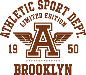 New York, Brooklyn t-shirt design. T-shirt print design in American college style. Athletic typography for tee shirt print in university and college style. Vector