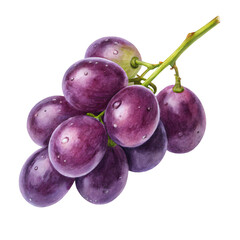 bunch of grapes, grapes bunch isolated on transparent background