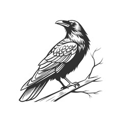 crow on a branch