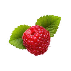 A single ripe raspberry with green leaves is isolated on transparent background