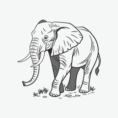 elephant vector illustration