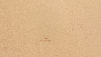 Textured Elegance: A close-up view of a textured wall, subtly capturing the interplay of light and shadow across its nuanced surface.