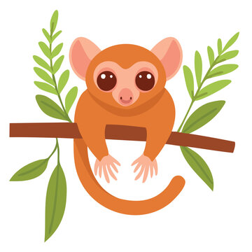 orange tarsier sitting on branch clip art preview
