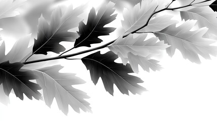 Monochrome Silhouette of Oak Leaves on Ivory Background