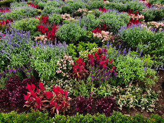 A garden filled with many types of flowers and plants