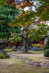 japanese garden in autumn
