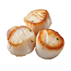 Cooked sea scallops pile, fresh seafood delicacy food on transparent background

