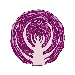 Fototapeta premium Sliced red cabbage with spiral layers on a transparent background, vibrant purple colors, copy space 