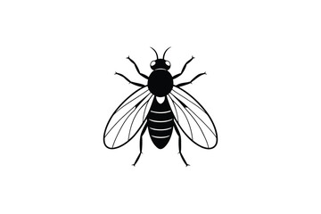 Obraz premium Black and White Fly Illustration on a Clean White Background