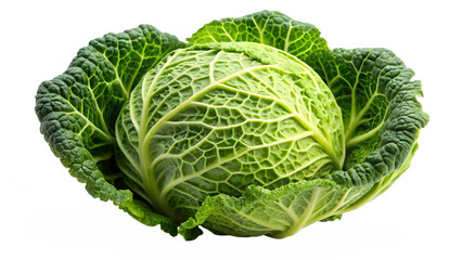 A fresh savoy cabbage is isolated on transparent background