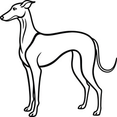 Minimalist black line art of a rare Azawakh dog elegant thin outline illustration, Azawakh dog line art, Rare dog minimalist sketch, Elegant sighthound vector