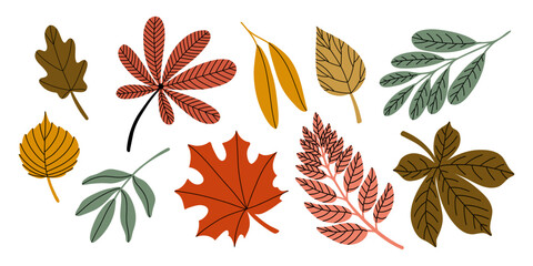 Flat vector illustration of a hand drawn set of colorful autumn leaves in various shapes and sizes. Isolated on a white background. Perfect for seasonal, nature, or decorative designs.