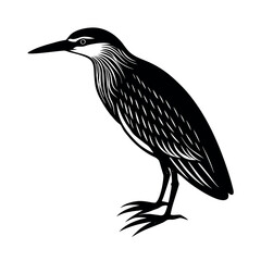 Black Crowned Night Heron Graphic Design