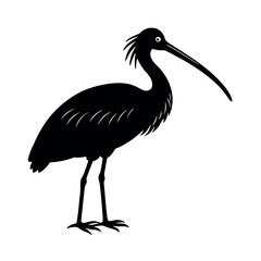 Eurasian Spoonbill Flying Bird Vector