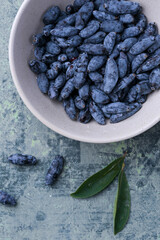 Close-up macro shot of honeysuckle berries. Healthy blue edible berries, rich in antioxidants and vitamins.