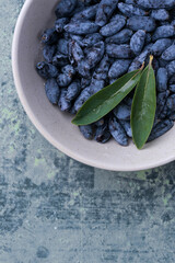 Close-up macro shot of honeysuckle berries. Healthy blue edible berries, rich in antioxidants and vitamins.