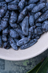 Close-up macro shot of honeysuckle berries. Healthy blue edible berries, rich in antioxidants and vitamins.