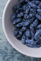 Close-up macro shot of honeysuckle berries. Healthy blue edible berries, rich in antioxidants and vitamins.