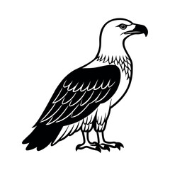 White Bellied Sea Eagle Design Art