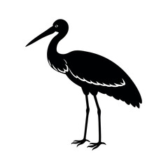 Woolly Necked Stork Line Art Vector