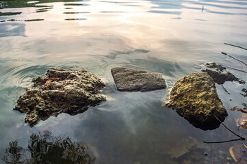 Three smooth rocks resting in calm water under soft daylight, creating a peaceful and minimalist...