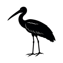 Asian Openbill Bird Silhouette Vector