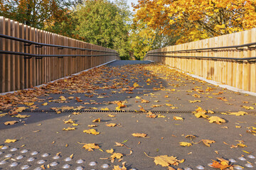 Autumn leaves cover a pedestrian bridge surrounded by trees in a park setting
