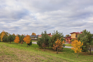 Colorful autumn trees on a quiet street in a suburban area