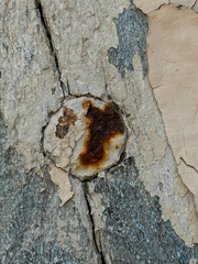 A piece of wood with a rusted metal object in the middle