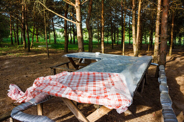 Table in the forest park for outdoor recreation
