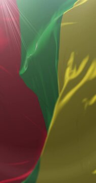 Flag of Ibague, Tolima Department Flag, Colombia. Loop. 4K Vertical