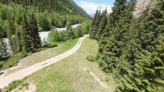 Verdant coniferous forest sprawling across ala archa national park mountain terrain, revealing winding river path through pristine kyrgyzstan wilderness from aerial perspective
