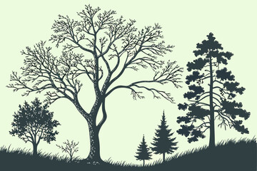 Obraz premium Stylized illustration of a natural landscape with a variety of trees, including deciduous and evergreen, showcasing different seasons and foliage, suitable for environmental themes.