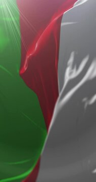 Sincelejo City Flag, Sucre, Colombia. Loop. 4K Vertical