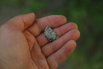 Half of medieval european silver coin in hand