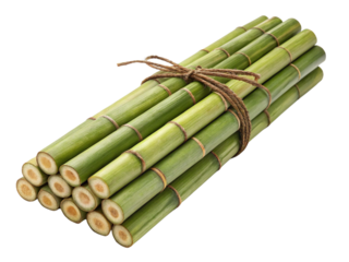 Many green bamboo logs tied together isolated on a white background.