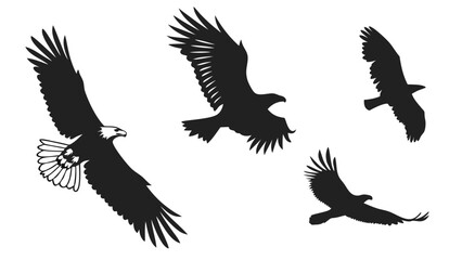 Birds Flying Silhouette Vector Pack
