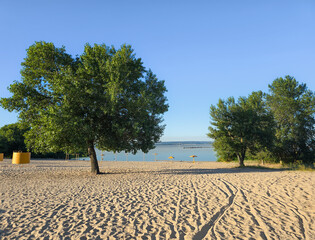 Lonely tree in the desert.
Beach scene with trees, sand, and clear sky