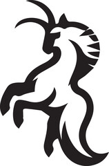 black and white horse