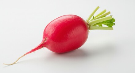 Red radish, fresh and whole