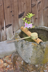 圓光寺のトイレの手洗い場