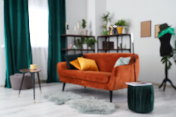 Interior of stylish living room with cozy sofa, houseplant and carpet