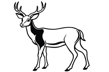 Fototapeta premium Elegant deer illustration in black and white with detailed antlers