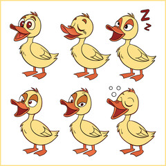 Cartoon mallard ducks set