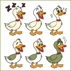 Cartoon mallard ducks set