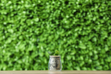 Plant growing from glass jar with dollar banknotes on leafy blurred background