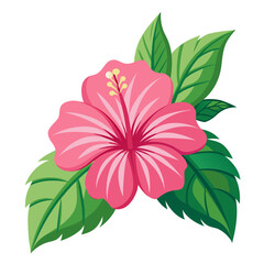 Pink Hibiscus Flower Vector