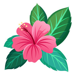 Pink Hibiscus Flower Vector
