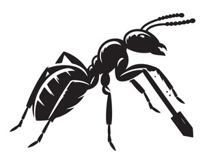 Carpenter Ant 9.eps