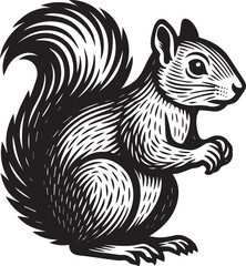 Engraved Squirrel Illustration  A Detailed Black and White Design